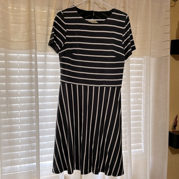 LOFT Dresses & Skirts - Loft dress. Grey/White. Size 8
